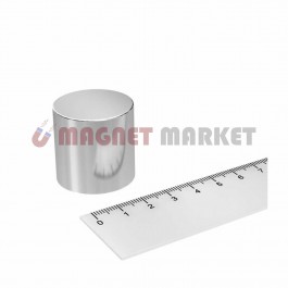 Diameter 30mm X Thickness 30mm Neodymium Magnet